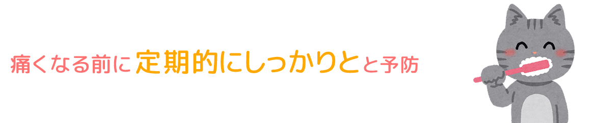 痛くなる前に、定期的にしっかりと予防